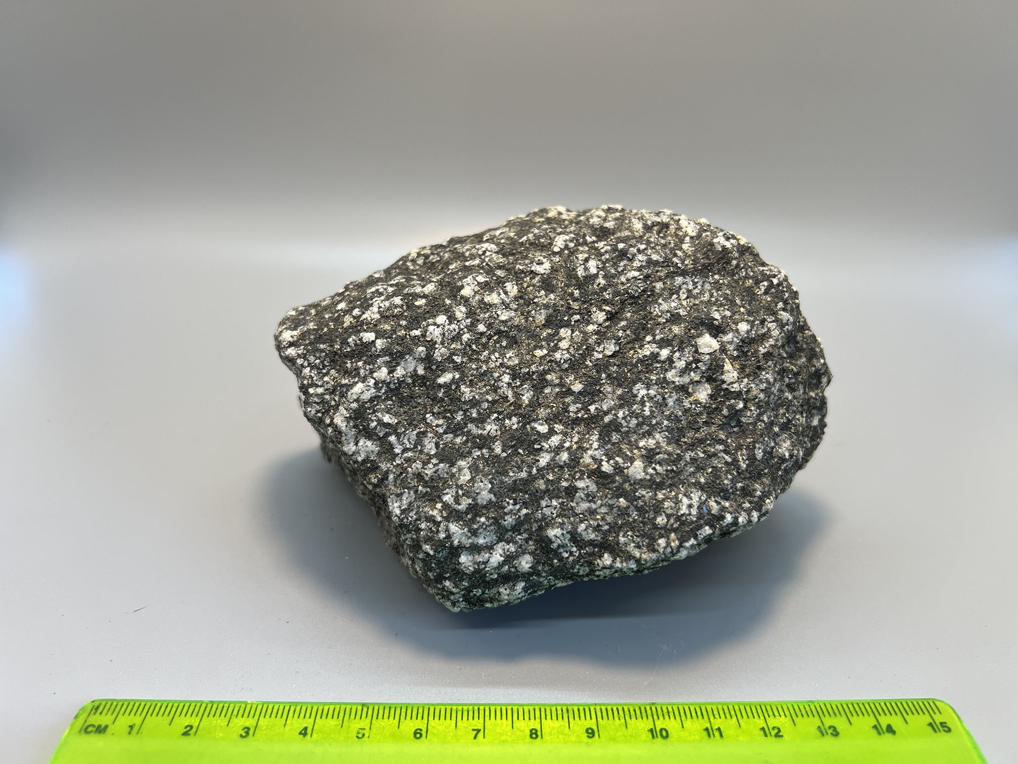 gabbro